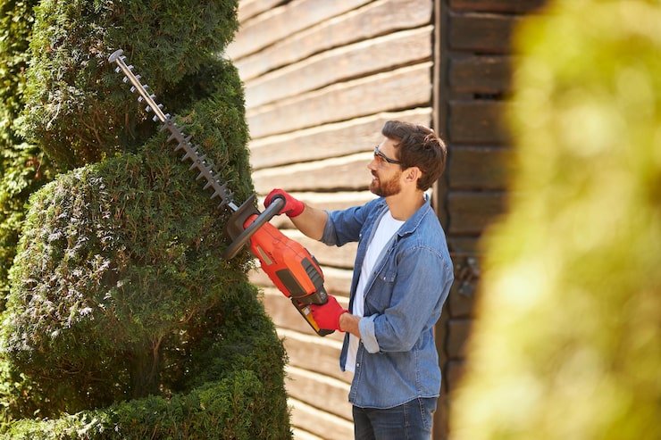 Garden Maintenance Services Cortlandt Manor, NY